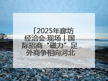 2025年廊坊经洽会·现场丨国际招商“磁力”足 外商争相向河北推介项目